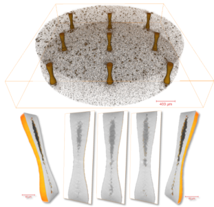 Imaged within 15 minutes at 1um resolution in a large intact die